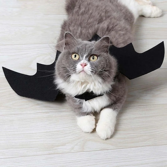 Black Bat Wings Pet Halloween Funny Costume