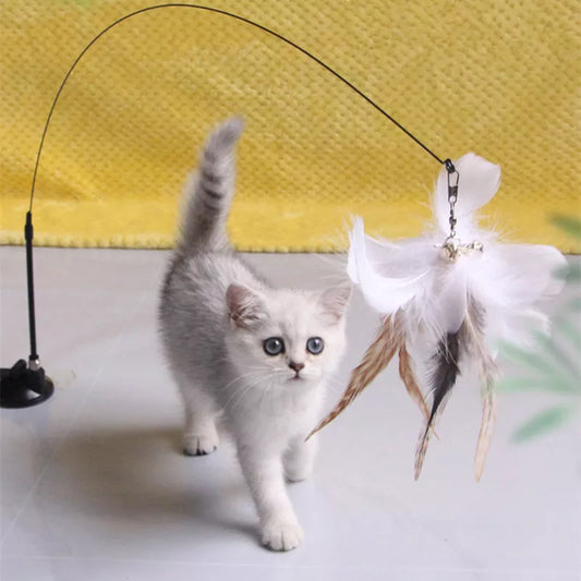 Interactive Feather Toys