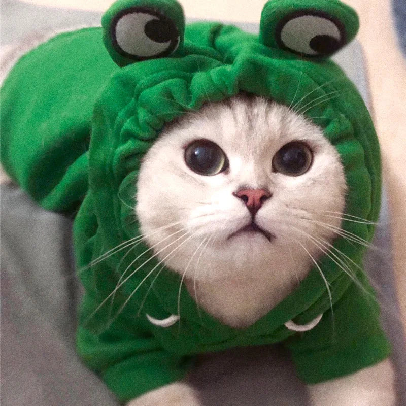 Animal & Fruit Cosplay Pet Hoodie