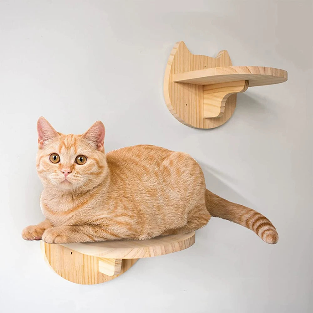 Cat Wall Shelves