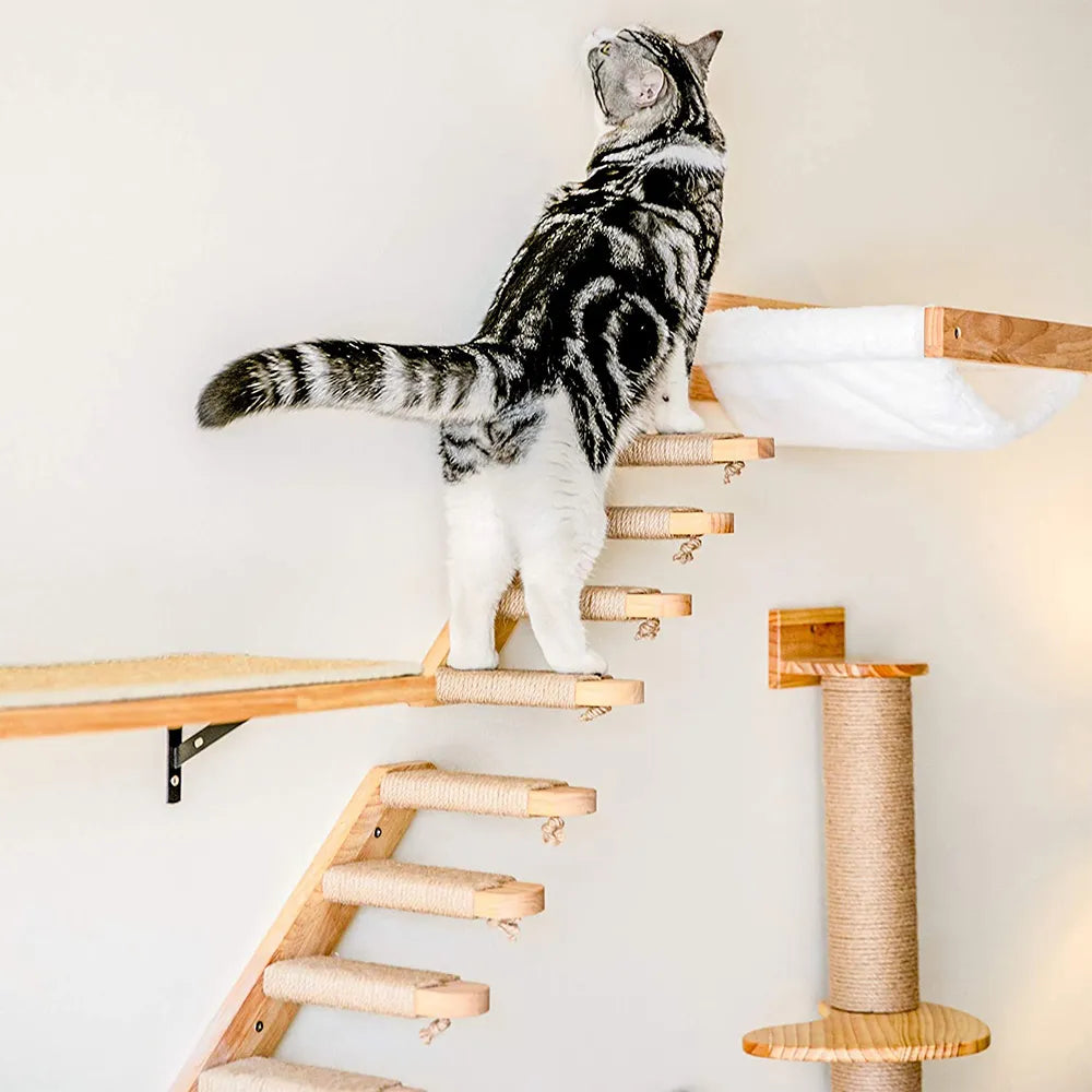 Cat Wall Shelves