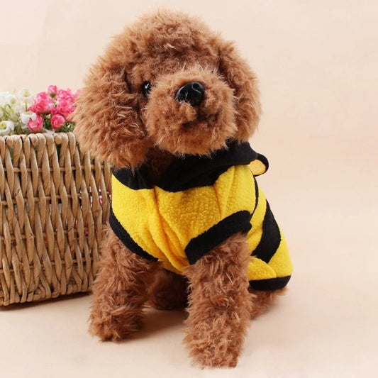 Cosplay Bee Pet Funny Costume