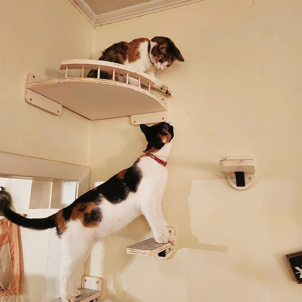 Cat Wall Shelves