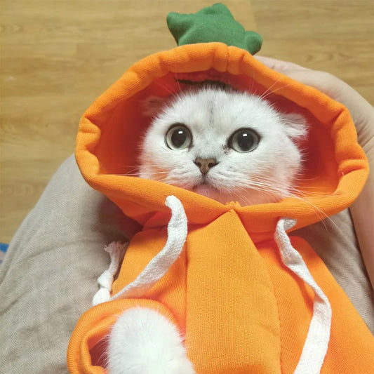 Animal & Fruit Cosplay Pet Hoodie