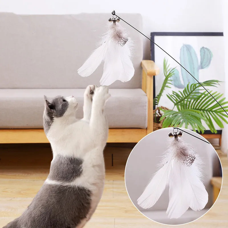 Interactive Feather Toys