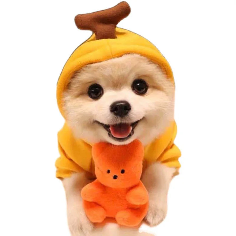 Animal & Fruit Cosplay Pet Hoodie