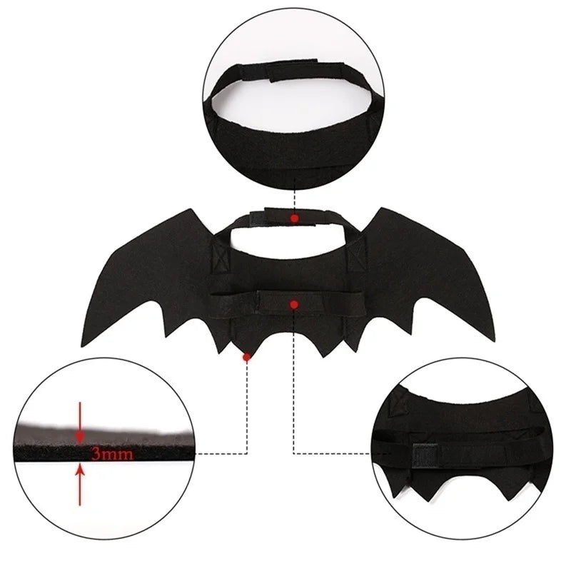 Black Bat Wings Pet Halloween Funny Costume