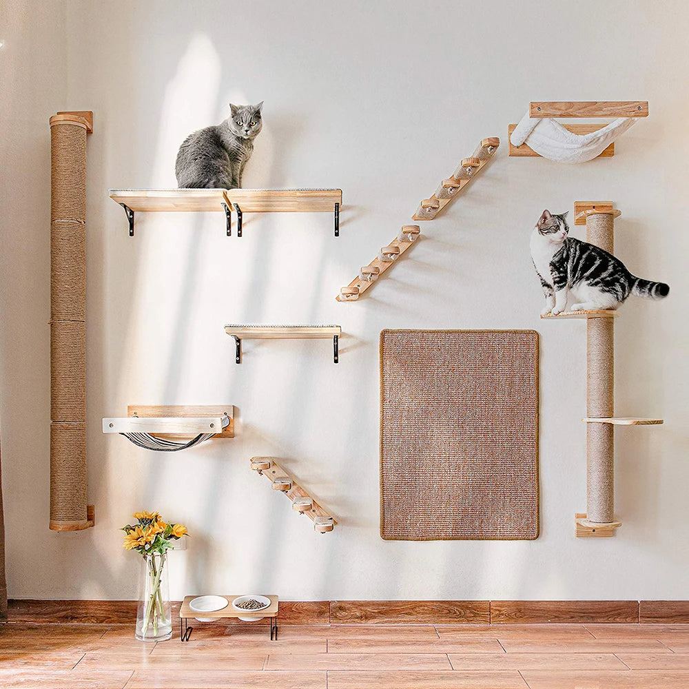 Cat Wall Shelves