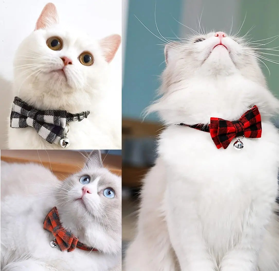 Scott Bow Tie Collar with Small Bell