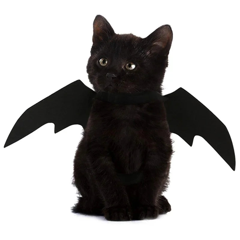 Black Bat Wings Pet Halloween Funny Costume