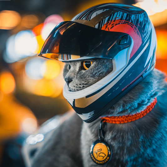 Small Pet Motorcycle Helmet