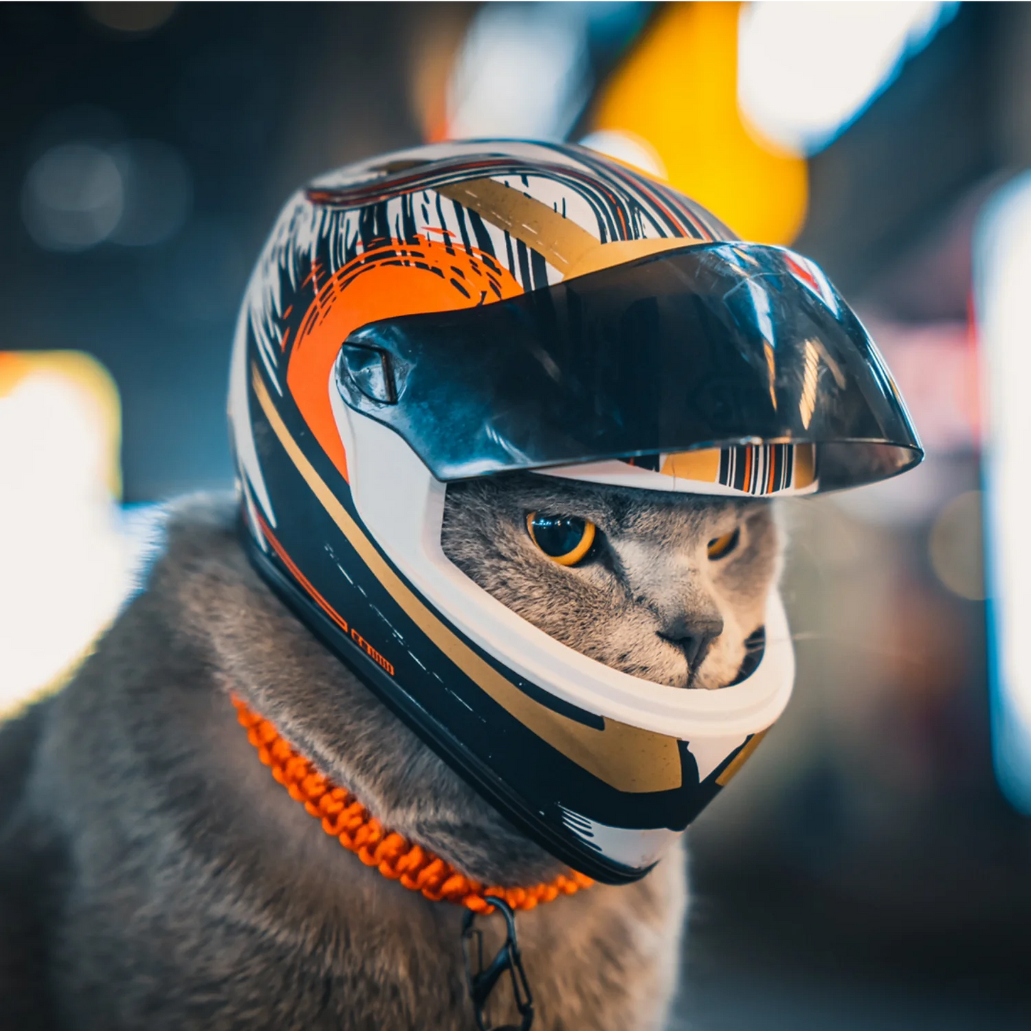 Small Pet Motorcycle Helmet